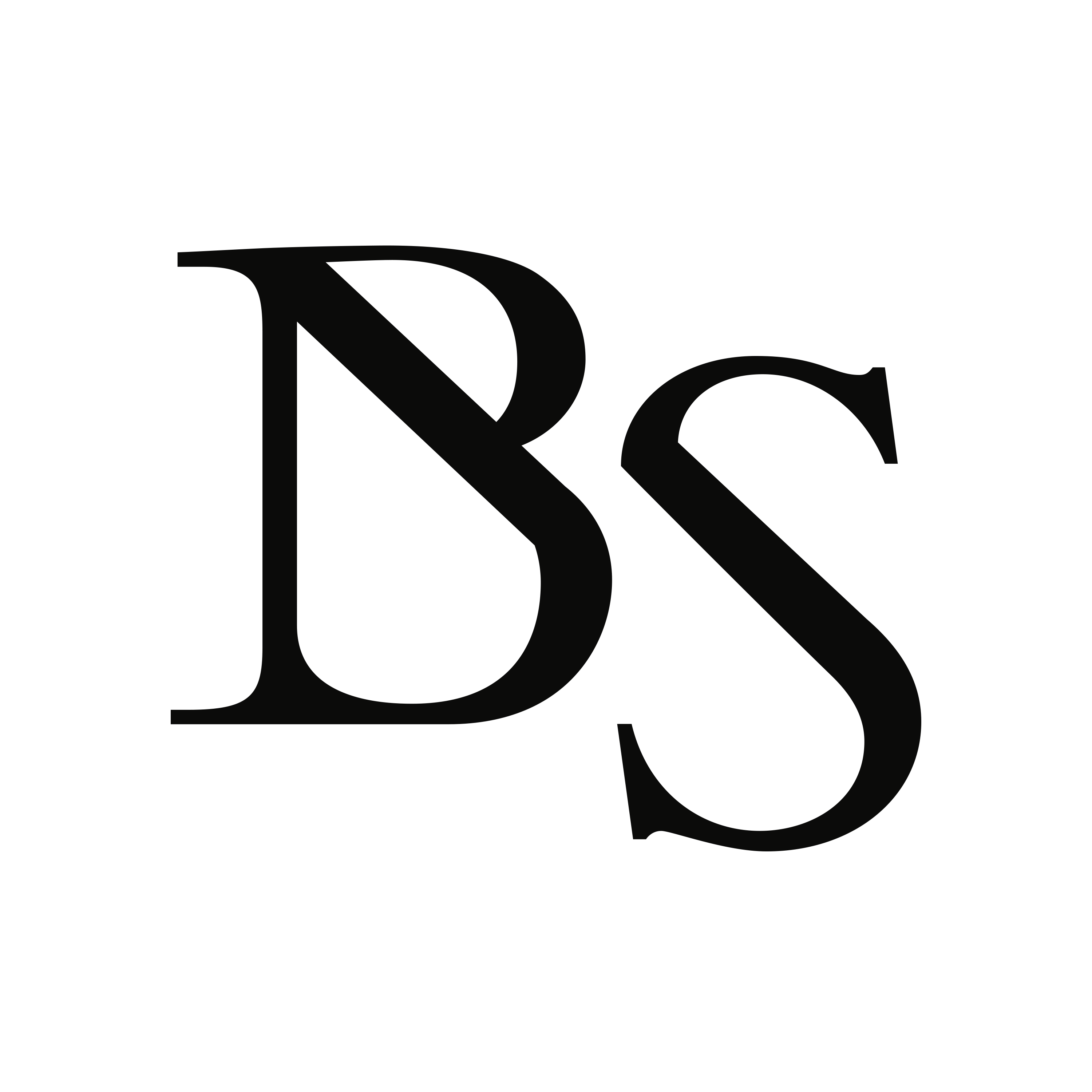 160313_BS_Logo_001 Björn Schoepke